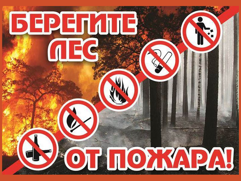Профилактическая беседа &amp;quot;Берегите лес от пожара&amp;quot;.